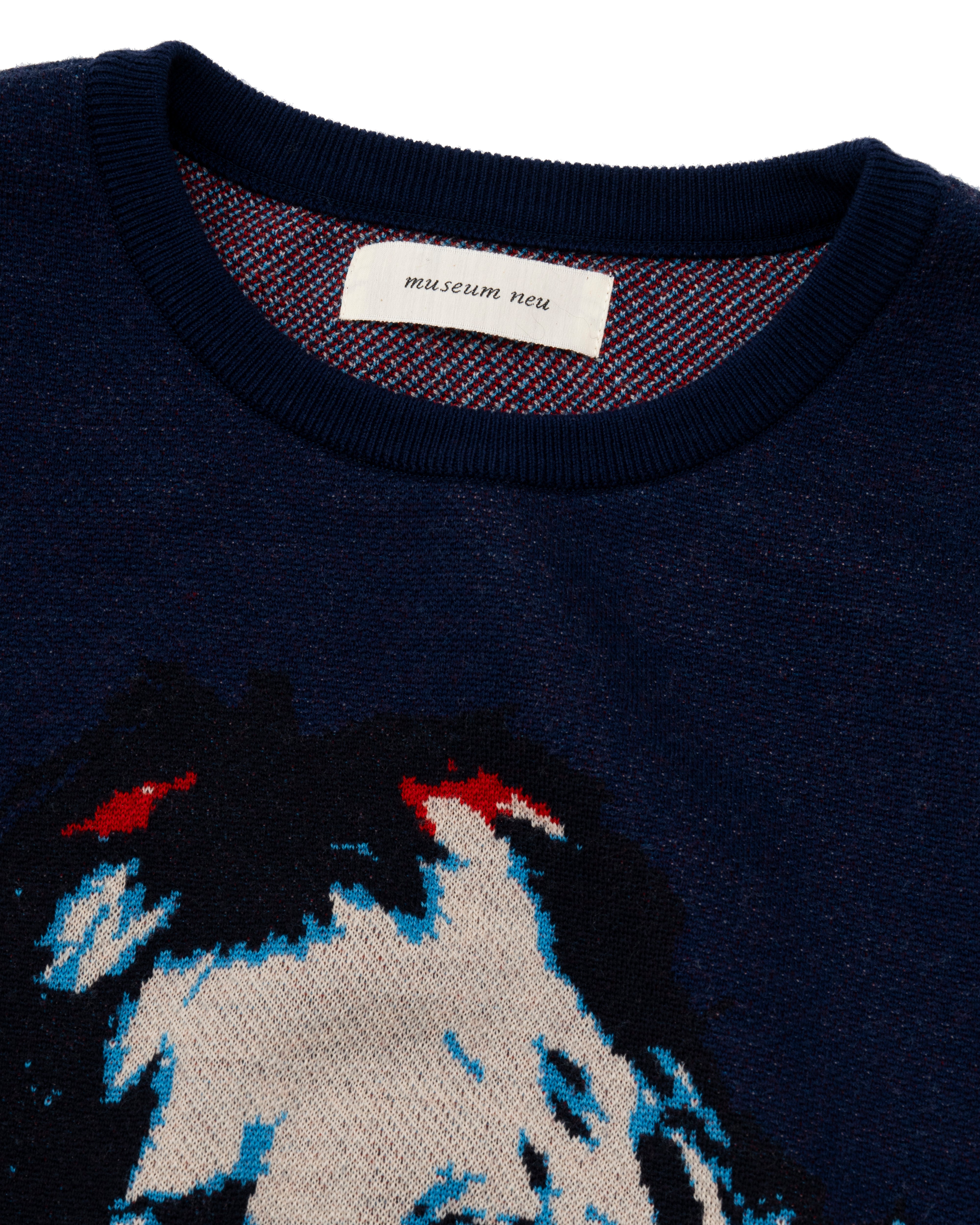 Marianne Faithfull Knit Pullover